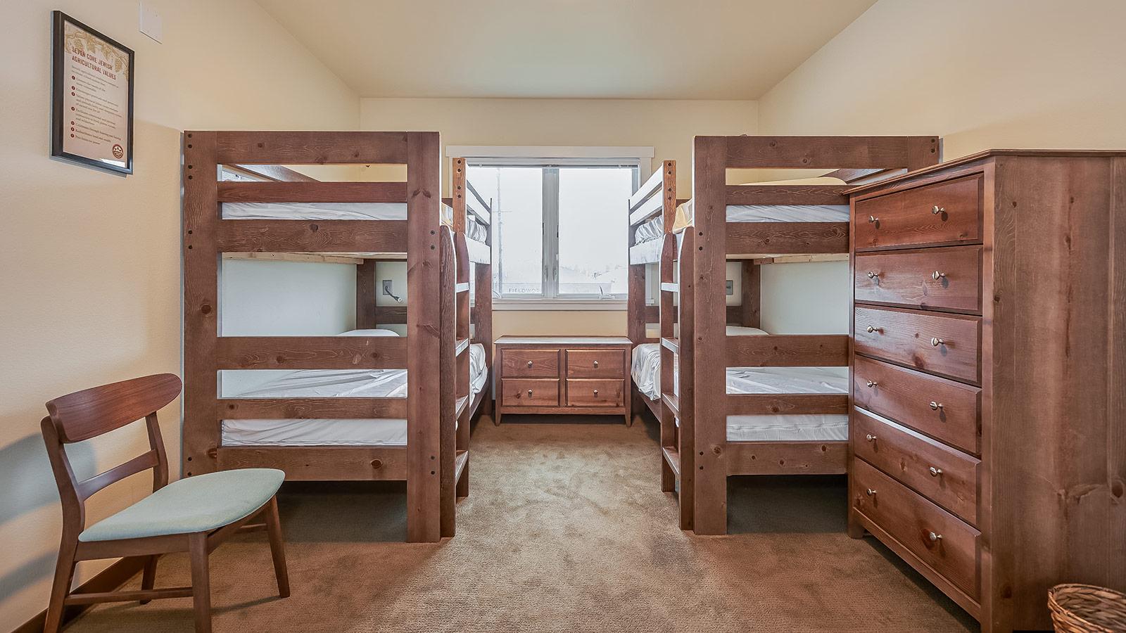 Off-campus apartment rentals for students in NYC